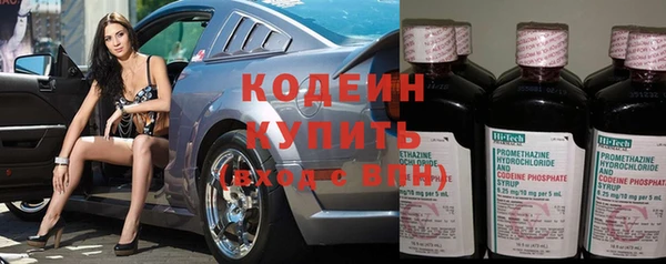 ПСИЛОЦИБИНОВЫЕ ГРИБЫ Горно-Алтайск